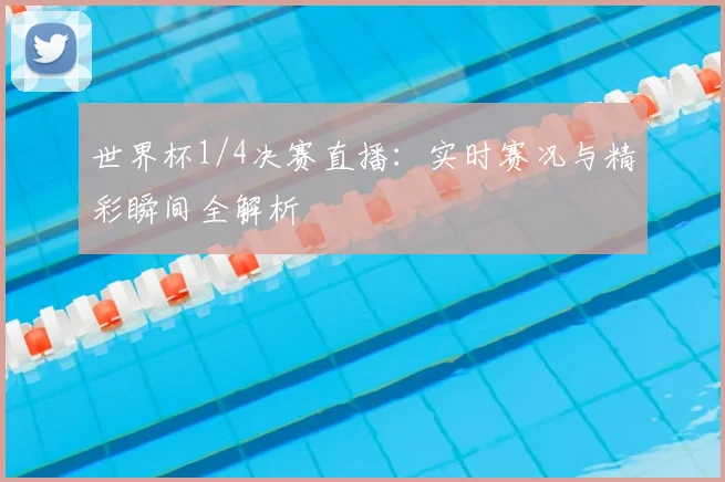 世界杯1/4决赛直播：实时赛况与精彩瞬间全解析